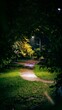 © Bajram Llapashtica/Wirestock Creators - Scenic nighttime pathway winds through a mysterious forest park, illuminated by lights
