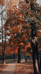 Sticker - the dirt pathway goes down into the park with trees in the background