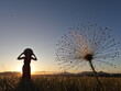 © carina furlanetto - Silhueta de mulher e de palipalan florido (também conhecido como chuveirinho do Cerrado), no entardecer, na Chapada dos Veadeiros, em Alto Paraíso de Goiás