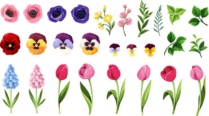 Wall Mural - Colorful flowers and leaves isolated on a white background. Set of colorful tulip, pansy, anemone, and hyacinth flowers and green leaves. Vector illustration