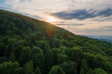 Sticker - Aerial view of green pine forest with dark spruce trees covering mountain hills at sunset. Nothern woodland scenery from above