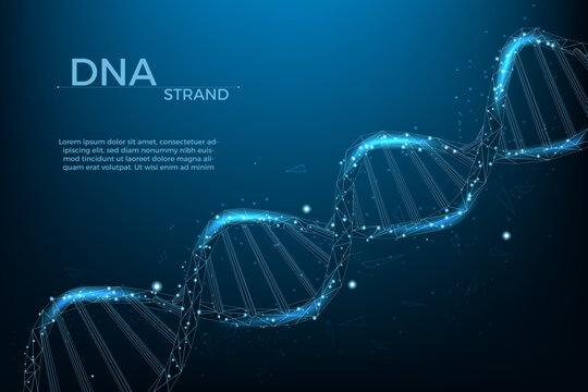 Wall Mural - 3d dna wireframe, health medicine banner template. Polygon helix hologram, innovation biology or genetic cells, futuristic chromosome molecule isolated. Vector gene background