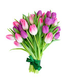 Fototapeta Tulipany - Pink fresh tulips