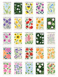 set of elements posters flower wildflower clipart wall art garden