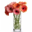 red gerber flowers in vase