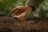 Fototapeta  - Expert farmer sowing seed on a good soil. grow vegetable and flower at garden concept.