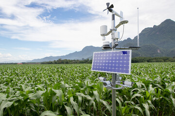Wall Mural - Weather station in corn field, 5G technology with smart farming concept