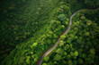 a long curved road in the forest near to brazil image by - Generative AI