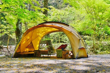 Wall Mural - tent in the forest