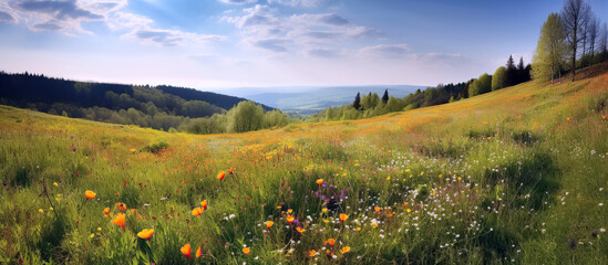panorama with field meadow with blooming spring flowers against blue sky in summer. generative ai il