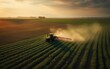 Farmer on a tractor spraying pesticides on a green soybean plantation at sunset