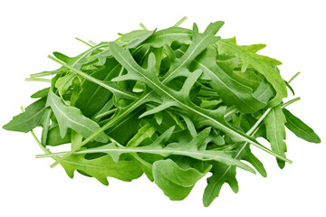 Wall Mural - Arugula, rocket, eruca, rucola, isolated on white background, full depth of field