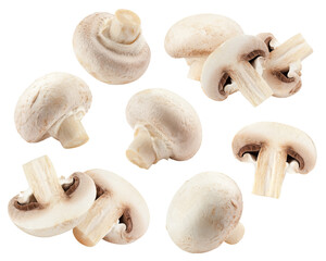 Wall Mural - champignon, mushroom, isolated on white background, full depth of field