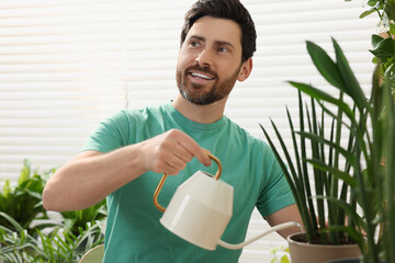 Canvas Print - Man watering beautiful potted houseplants at home