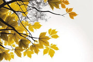 Wall Mural - leaves on a maple tree turn yellow in the fall. generative ai