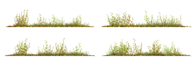 Set of green plant with dried leaves on transparent background, nature meadow, autumn plant, 3d render illustration.