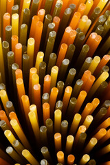 Wall Mural - Spaghetti tricolore seen from above close up full frame as background  