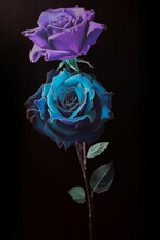 Blue And Violette Rose , Generative AI 