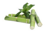 Fototapeta Sypialnia - Pieces of beautiful green bamboo stems on white background