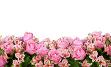 Border With Pink Roses And Alstroemeria Flowers Isolated On White Or Transparent Background
