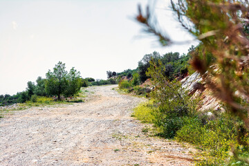 Wall Mural - Penteli mountain country road at Attica, Greece.