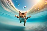 Fototapeta Fototapety do łazienki - pływający kot