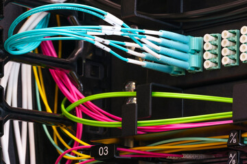 Poster - Multi Colored Network Cables Connected to Switch, network  technology concept