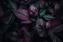 Nature's Lush Foliage In A Full Frame Of Purple Leaves Pattern Background With Tropical Leaf Texture. Generative AI