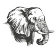 elephant big animal hand drawn vector illustration realistic sketch
