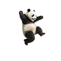 Wall Mural - panda jumping isolated on white background