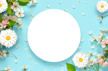 Wall Mural - flowering spring branches, white flowers and petals on a blue background