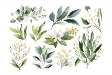 Canvas Print - Watercolor floral illustration set - white flowers, green leaf branches collection,. Generative AI