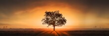 A Lone Tree In The Middle Of A Field At Sunset. AI Generative Image.