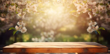 Empty Wooden Table In Spring Cherry Orchard During Sunny Day. Spring Background With Empty Wooden Table. Natural Template For Product Display With Cherry Blossoms Bokeh And Sunlight. 