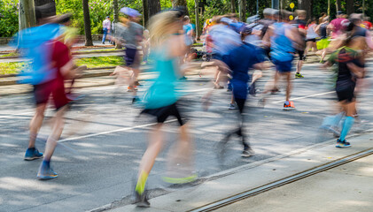 Wall Mural - marathon runners in motion