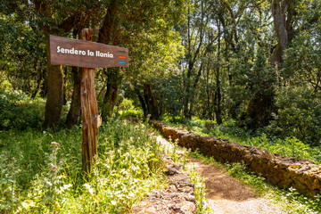 Identification sign of the La Llania trekking trail in El Hierro, Canary Islands. lush green landscape