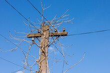 Old Wooden Telephone Pole On A Background Of Blue Sky. The Small Depth Of Field
