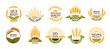 Wheat ears icons, cereal spikes of rye, barley or rice millet, vector organic product labels. Wheat grain food signs of premium quality bread or flour and bakery, organic wheat laurels