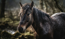 Close Up Photo Of Dartmoor, Breed Of Pony On Blurry Forest Background. Generative AI