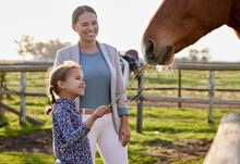 Hey Horsey, I Got You A Snack. An Adorable Little Girl Feeding A Horse On Her Farm While Her Mother Looks On.