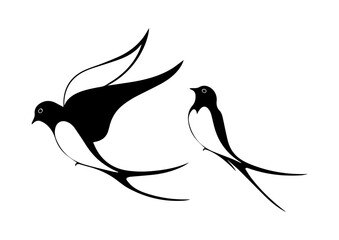 Wall Mural - vector swallow bird animal illustration design