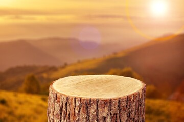 Canvas Print - wood Podium tree trunk on nature background