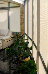 Wall Mural - Pleated blinds with beige folded fabric on the windows close-up. On the floor stand home plants in greek style flower pots. Cordless bottom up top down pleated shade with silver lower bar.