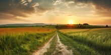 Beautiful Summer Rural Landscape, Panorama Of Summer Green Field With Empty Road And Sunset Cloudy Sky