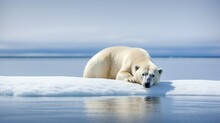 Illustration Of Global Warming Impact With Polar White Bear On Melting Iceberg. Environmental Problems. Outdoor Background With Copy Space. Generated With AI.