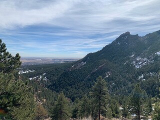 Mountain and tree landscape