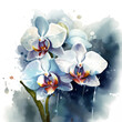 Ki Kunst - Wasserfarben Orchidee auf weißem Hintergrund