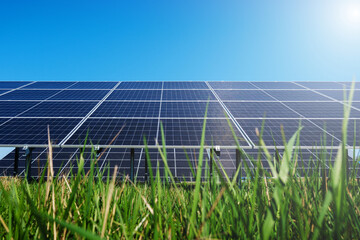 solar panels photovoltaic power station. alternative source of electricity. green and clean energy p