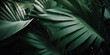 Tropical palm leaves green aesthetic background, exotic jungle plants foliage pattern, summer concept abstract banner. Generative AI