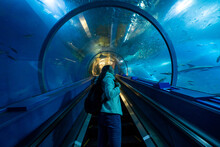 Young Asian Woman Looking At Beautiful Shoal Of Fish In Large Glass Tank Tunnel During Travel Underwater Zoo Aquarium. Attractive Girl Enjoy And Fun Looking Sea Life At Oceanarium On Holiday Vacation.